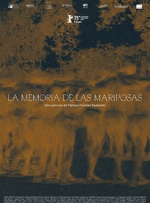 Pôster de A Memória das Borboletas