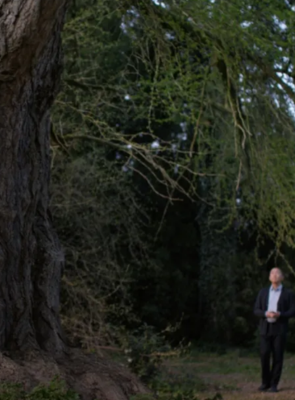 Pôster de Amiga Silenciosa