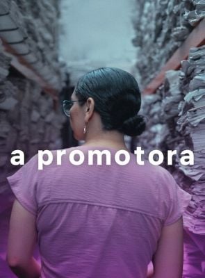 Pôster de A Promotora