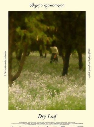 Pôster de Folha Seca
