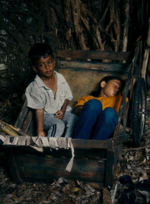 Pôster de Terra Perdida