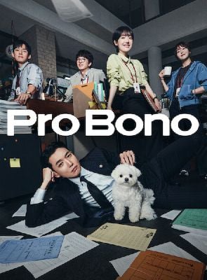 Pôster de Pro Bono