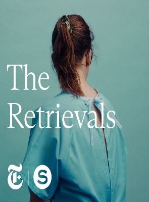 Pôster de The Retrievals