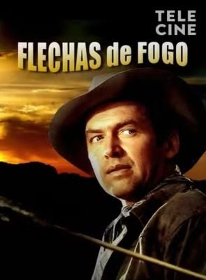 Pôster de Flechas de Fogo 