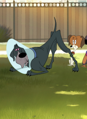 Pôster de O Dia da Castração