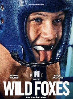 Pôster de A Dança das Raposas