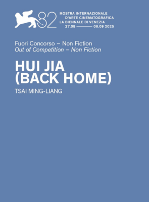 Pôster de De Volta para Casa