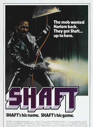  Shaft