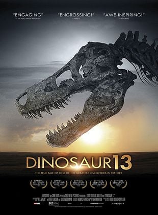  Dinosaur 13