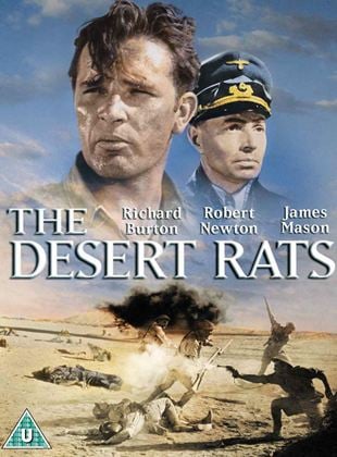  Ratos do Deserto