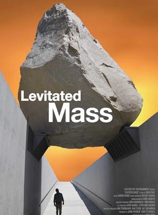  Levitated Mass