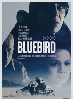  Bluebird