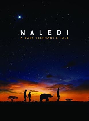  Naledi: A Baby Elephant's Tale