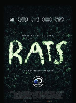  Rats: Realidade Urbana