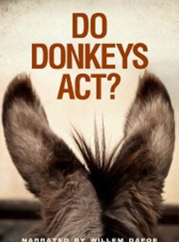  Do Donkeys Act?