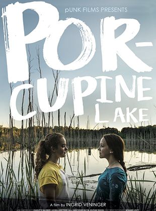  Porcupine Lake