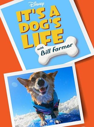 Super Cães - Apresentado por Bill Farmer