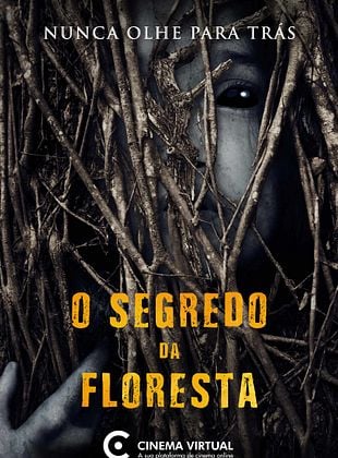  O Segredo da Floresta