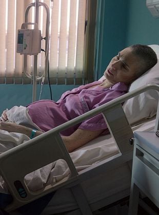 Pôster de O Caderno de Tomy