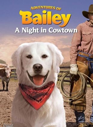 As Aventuras de Bailey: A Noite na Cidade