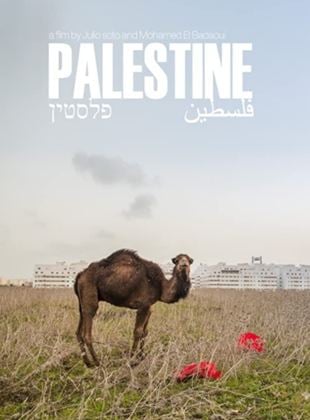 Palestina: Uma Terra em Conflito