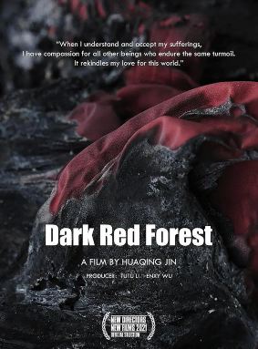 Floresta Vermelho Escuro: Monjas Budistas no Tibet