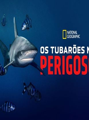 Os Tubarões Mais Perigosos