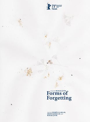 Forms of Forgetting