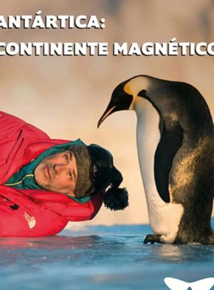 Antártica: Continente Magnético