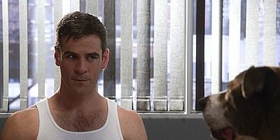 Pôster de Misconceptions