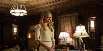 Pôster de One Angry Fuchsbau