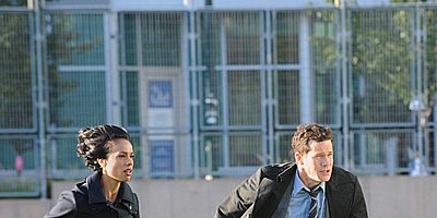 Pôster de Golden Bird