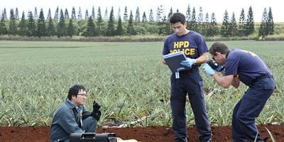 Pôster de Ha 'alele'