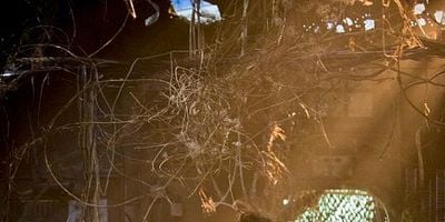 Pôster de Unfinished Business