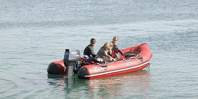 Pôster de Metamorphosis