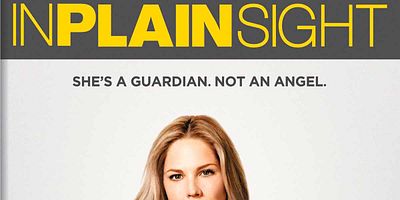 Pôster de The Art of the Steal