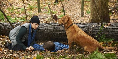 Pôster de Narrow Margin