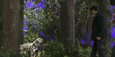 Pôster de Sympathy for the De Vil