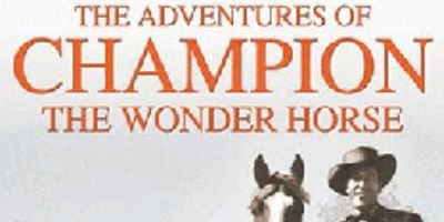 Pôster de The Saddle Tramp