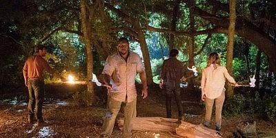 Pôster de Eats, Shoots and Leaves