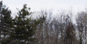 Pôster de Windmills