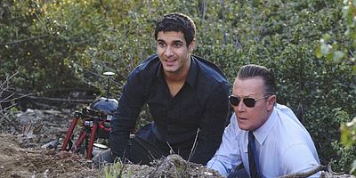 Pôster de Adaptation