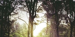 Pôster de Forte chuva interrompe escalada dos montanhistas e causa morte