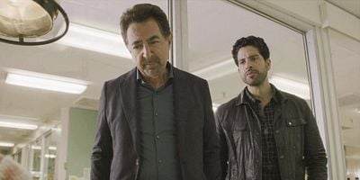 Pôster de Alpha Male