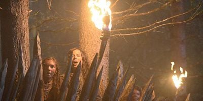 Pôster de Where the Wild Things Were