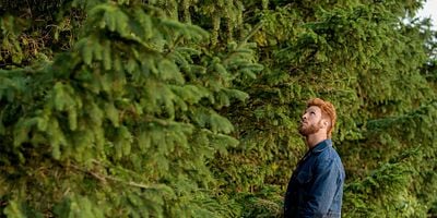 Pôster de A Prayer for Mad Sweeney