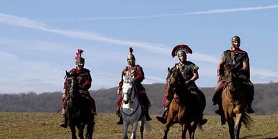 Pôster de An Owl in a Thornbush