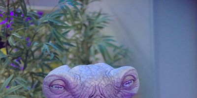 Pôster de Cupid's Dagger