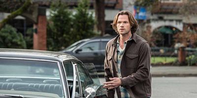 Pôster de Various & Sundry Villains