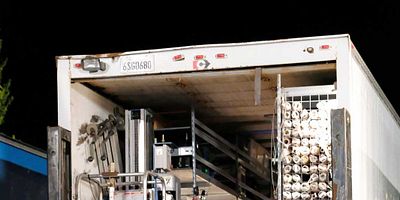 Pôster de Codependence